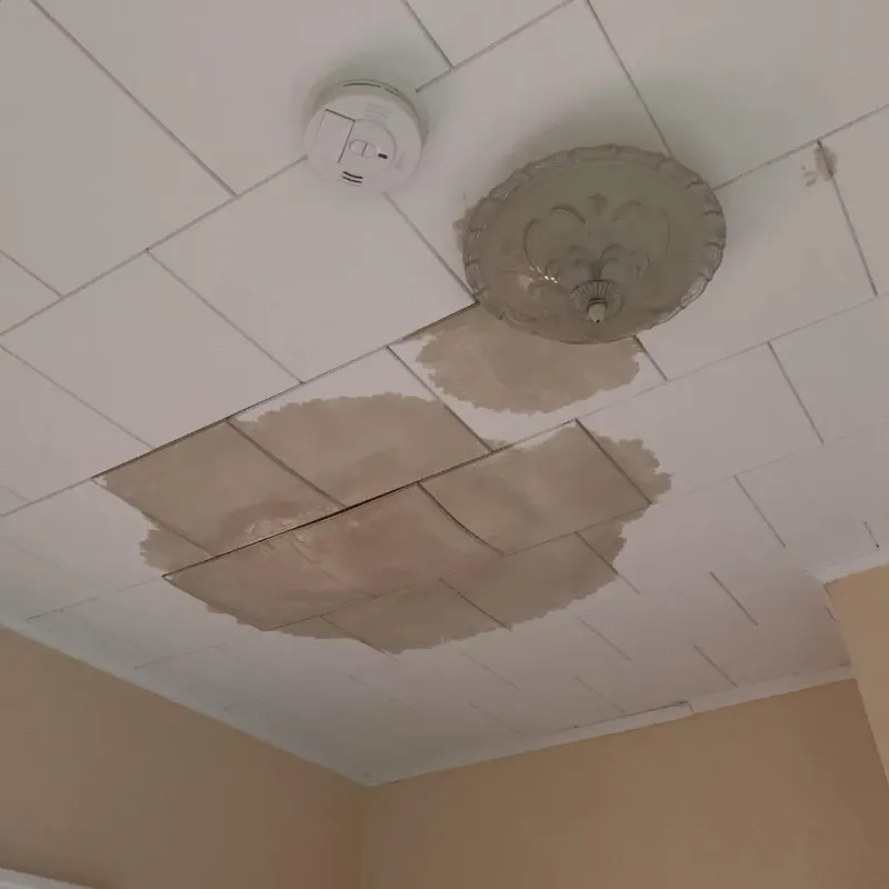 Ceiling Water Damage Repair in West Hamburg, PA