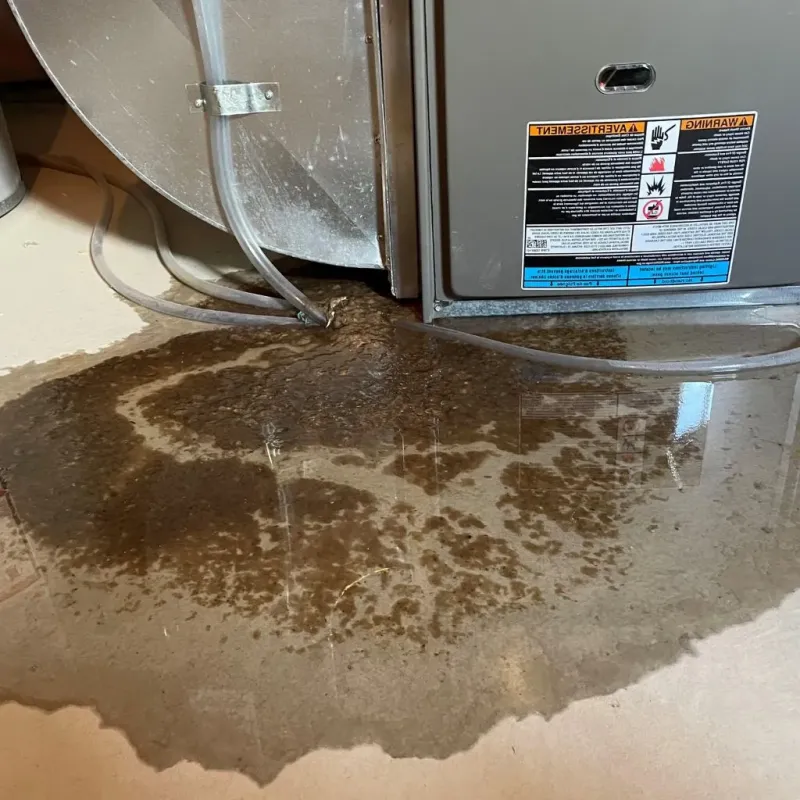Pipe Burst and Leak Restoration in West Hamburg, PA