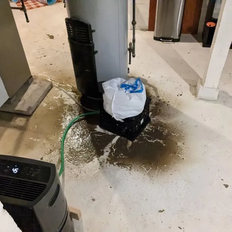 Sewage Backup Cleanup Service in West Hamburg, PA